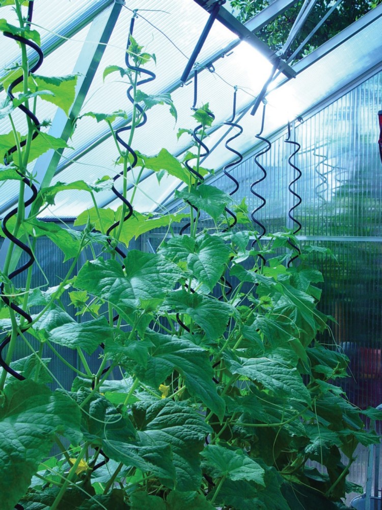 Plantspiral Plantspiral