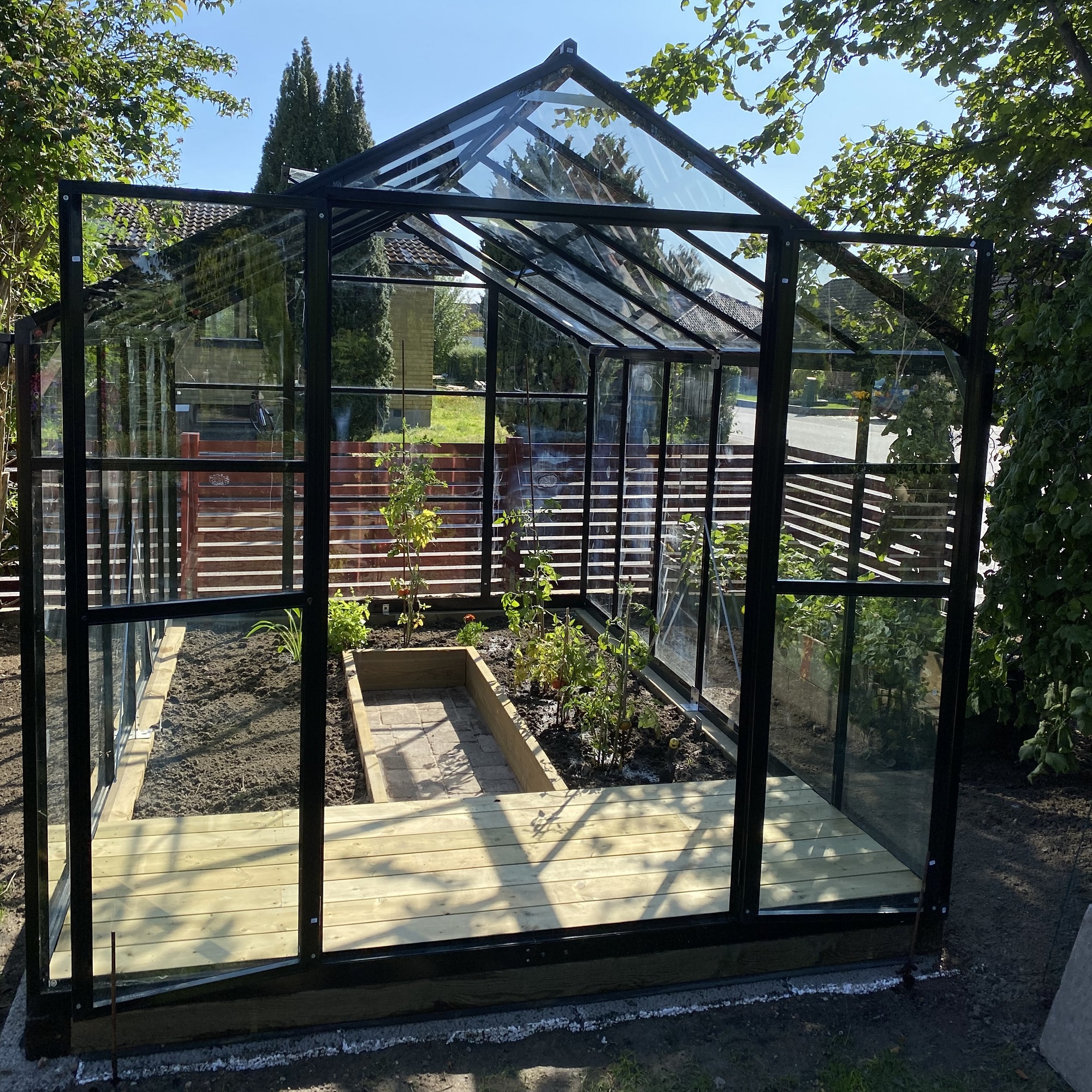 Växthus Titan - 9,2 m² + Växthusrengöring Växthus Titan - 9,2 m² + Växthusrengöring