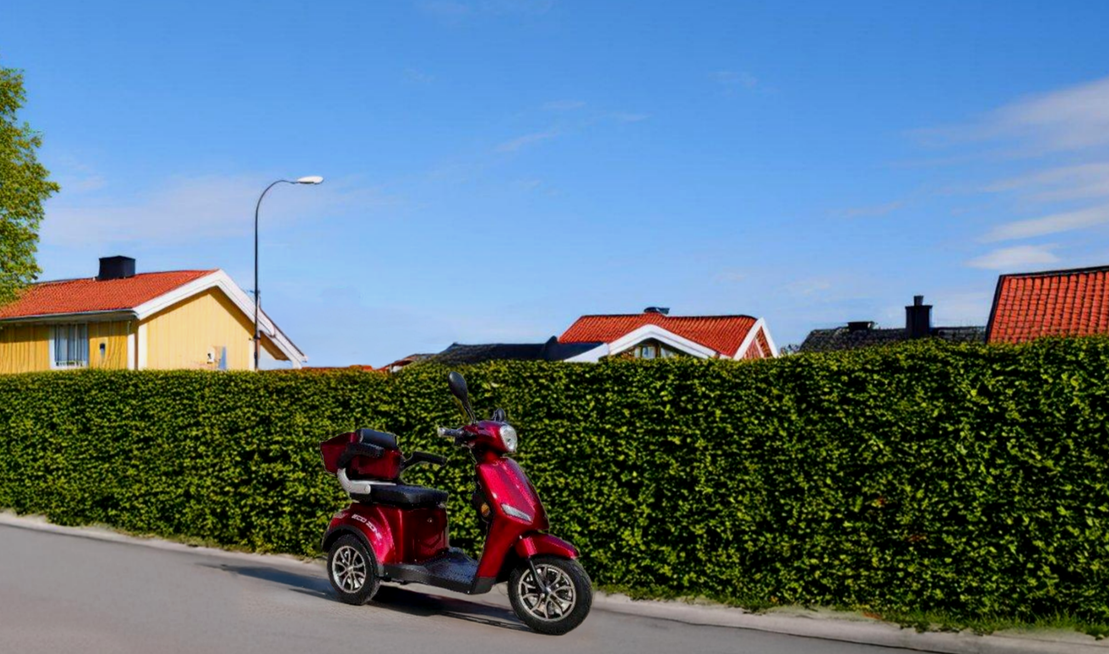 Promenadscooter Eco Zone - Rd 800W