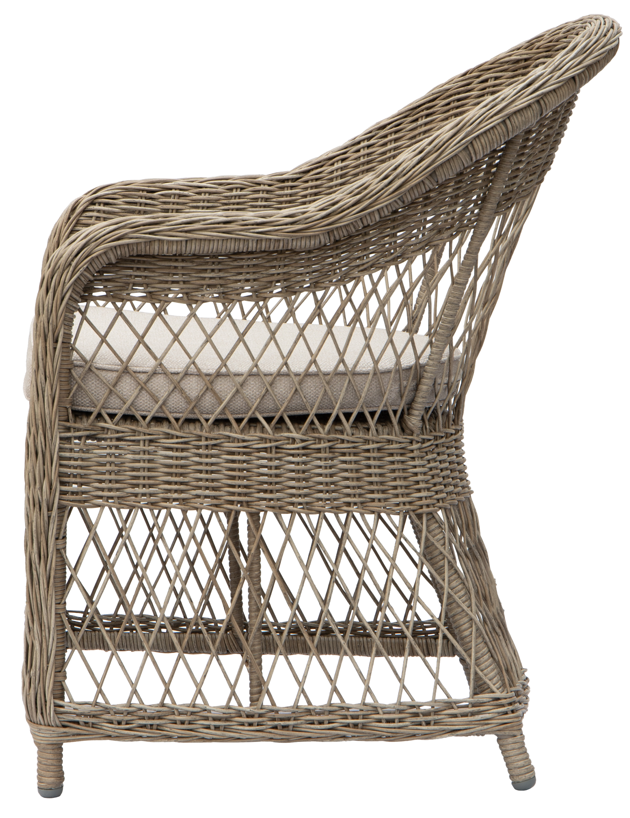 Marbella rottingftlj - Natur