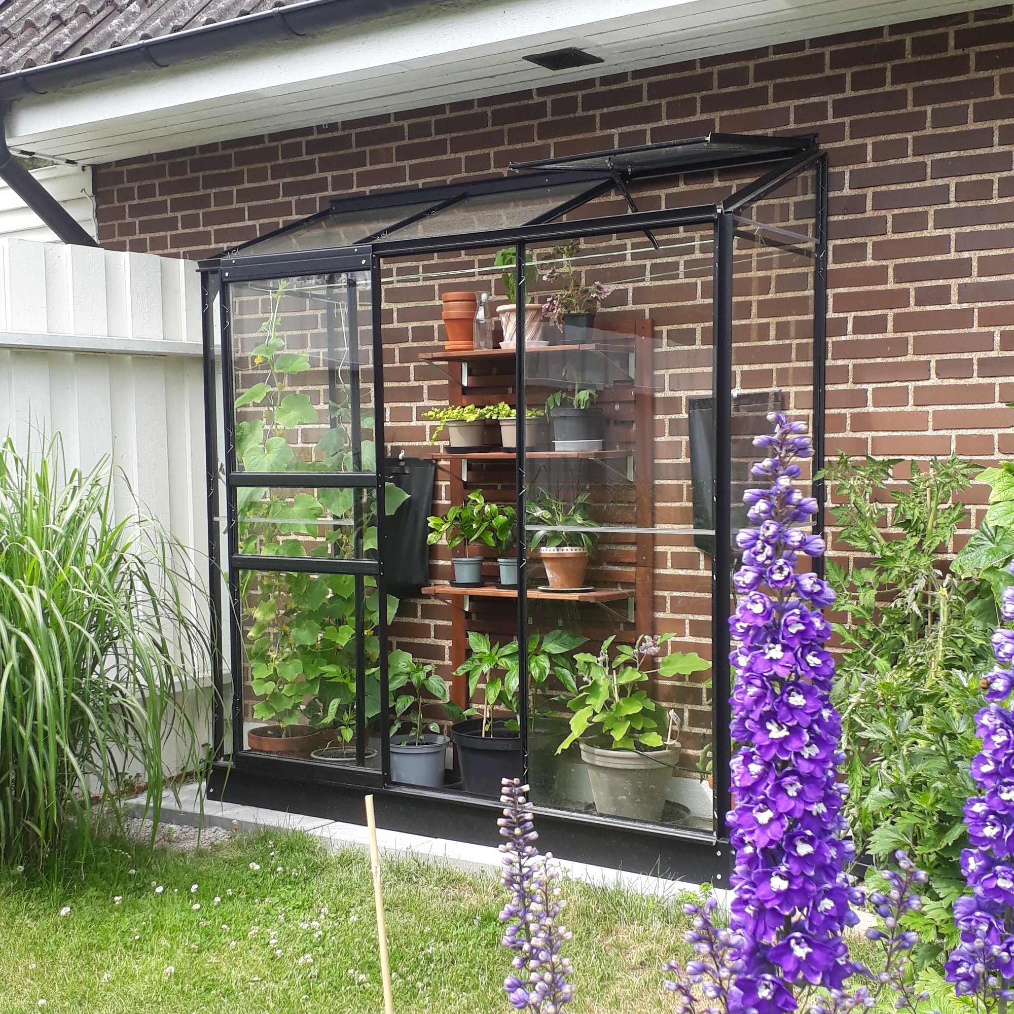 V�ggv�xthus Pluto - 1,3 m� - Kanalplast + V�xthusbord