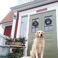 Parytterdörr Helena med klarglas Parytterdörr Helena med klarglas