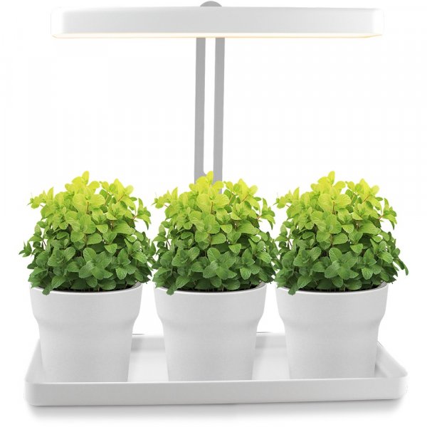 Vxtbelysning LED Mini Garden T-tak