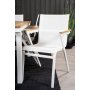 Dotorp Matgrupp (160x90) - Vit/Natur - 6 Stolar