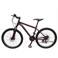 Mountainbike - 29 Mountainbike - 29