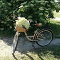 Kundbild Cykel Classic 28