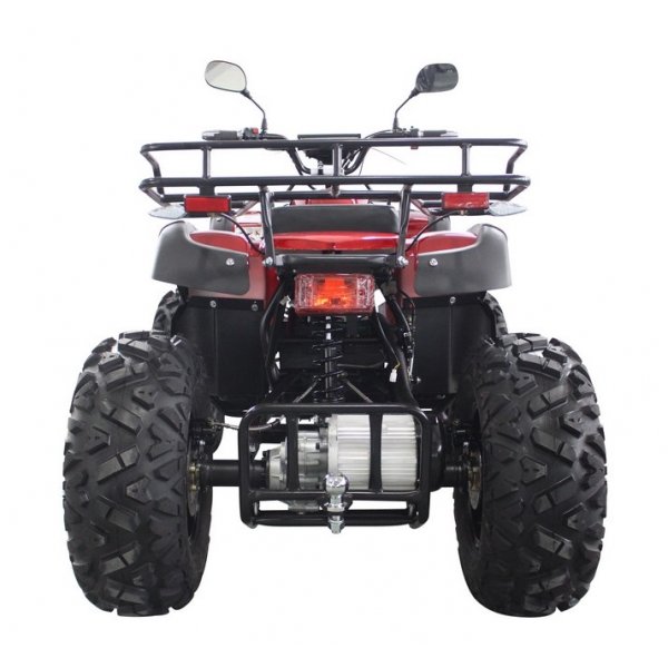 Elektrisk Fyrhjuling - 3000W