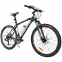 Mountainbike Team 26\\\" - Grn