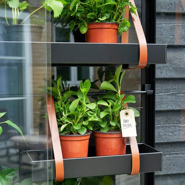 V�xthus City Green House