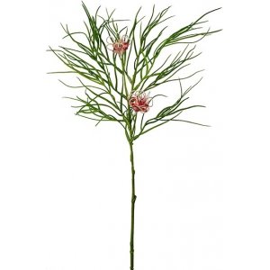 Grevillea konstv�xt