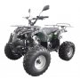 Quad - 125 ccm