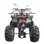 Quad - 125 ccm