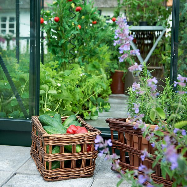 Vxthus Popular - 3,8 m + Vxthusrengring