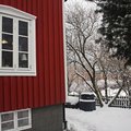 3-glasfönster Trä utåtgående - 3-Luft - U-värde 1,1 3-glasfönster Trä utåtgående - 3-Luft - U-värde 1,1