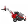 Slagklippare med 4 vxlar - 252cc