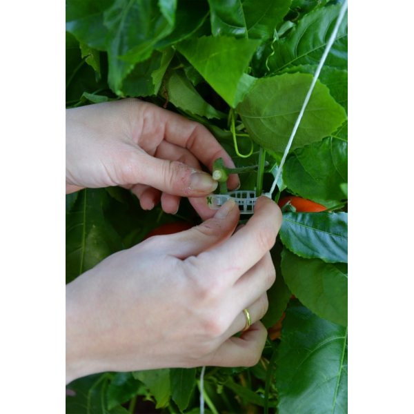 Spaljeringskit Spaljeringskit