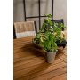 Charlottenberg spisegruppe (220x100) - Sort/Natur - 6 Stole