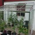 Kundbild Väggväxthus Royal - 4,8 m²: Royal växthus som nu är färdigt....