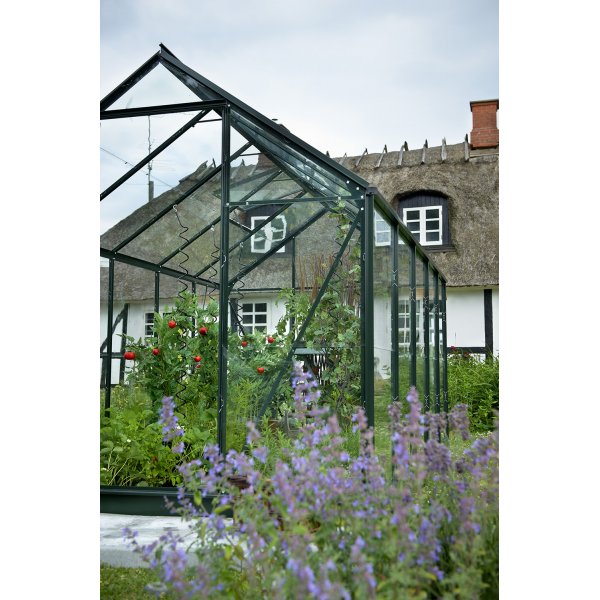 Växthus Popular 6,2 m² - Svart med härdat glas Växthus Popular 6,2 m² - Svart med härdat glas