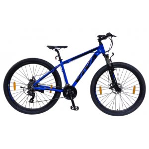 Mountainbike 21SP 29