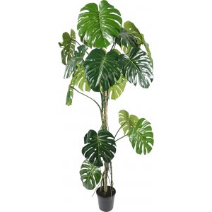 Monstera konstv�xt