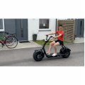 Kundenbilder Elektroroller Fatbike 1000W - Elektro 30 km/h