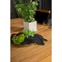 Malmby Spisegruppe (180x90) - Natur - 6 Stole