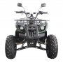 Quad - 125 ccm
