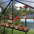 Kundbild Krukhållare: Har tre stycken för pelargoner,...