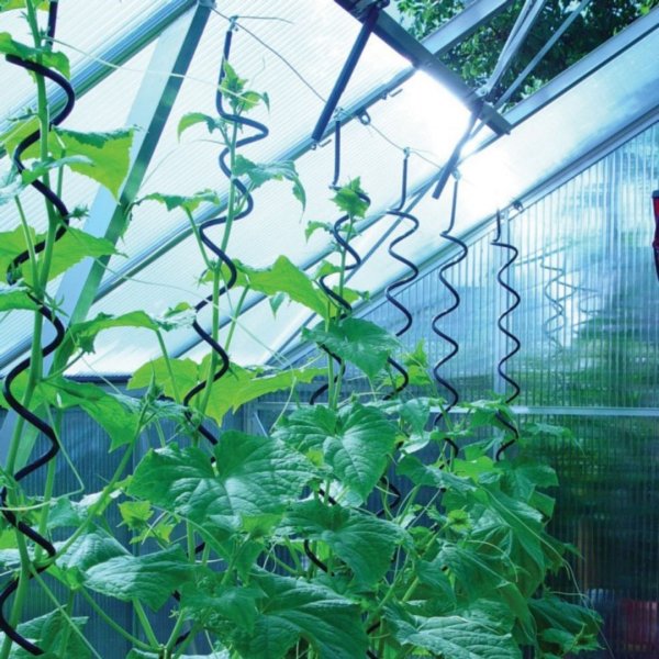 Plantspiral f�r v�xthus Juliana - 3-pack v�xthustillbeh�r