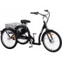 Trehjulig elcykel med 7 vxlar - 250W + Lsktting