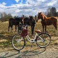 Kundbild Damcykel Classic 26