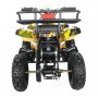 Elektrisches Mini-Quad - 800W