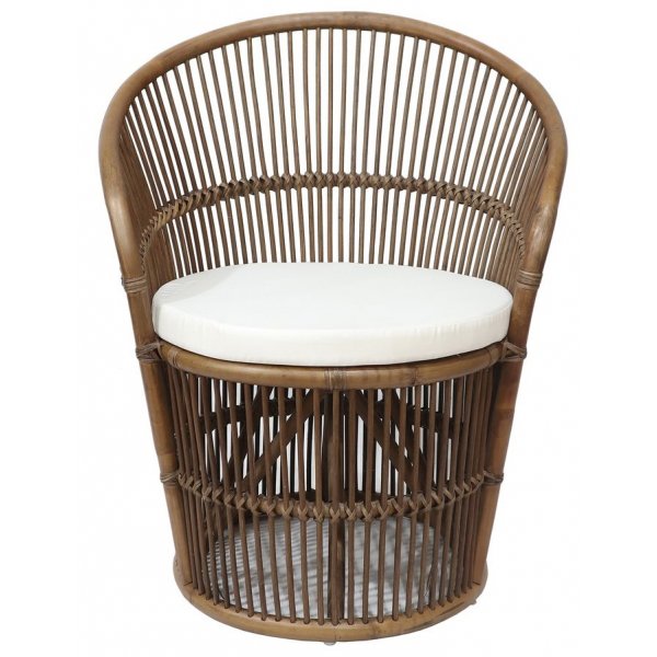 Narva ftlj i rotting - Brunbets