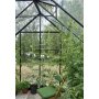 Drivhus Universal - Sort med hrdet glas 9,9 m