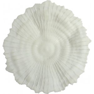 Korall v�ggdekoration D 56 cm - Ljus