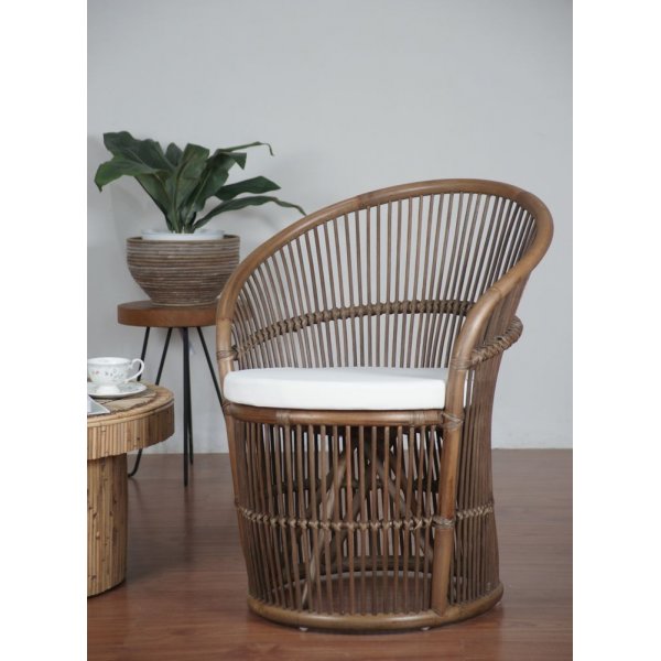 Narva ftlj i rotting - Brunbets