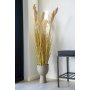 Amalfi kruka - Sandbeige
