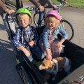 Kundbild Eldriven L�dcykel med svart l�da: Alla kan �ka med